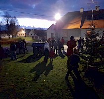 Rozsvícení stromečku