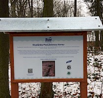 Studánka pod Zelenou horou