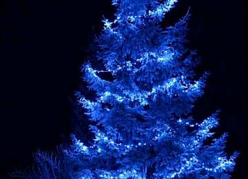 Rozsvícení vánočního stromku v Klášteře