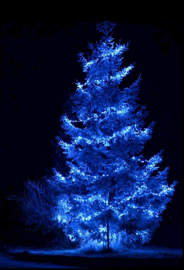 Rozsvícení vánočního stromku v Klášteře