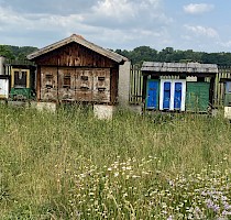 Obecní výlet 17/6/2023