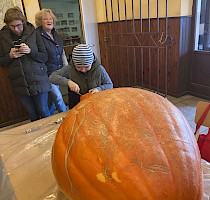 Dlabání dýní 28.10.2023