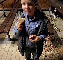 Dlabání dýní 28.10.2023