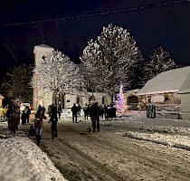 Rozsvícení vánočního stromku 2/12/2023